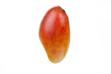 Mango fruit isolated