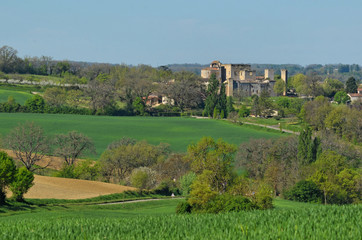 Fototapeta na wymiar Larressingle, cité médiévale, vue générale, Gers, France