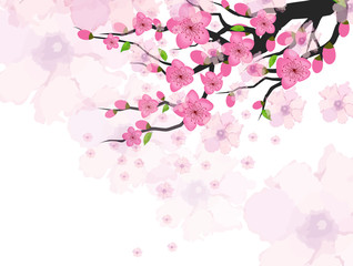 Obraz na płótnie Canvas Chinese New Year card with plum blossom