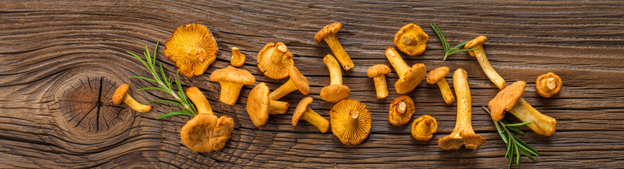 Frische Pfifferlinge  © karepa