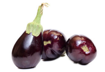 Black eggplant vegetable on white background