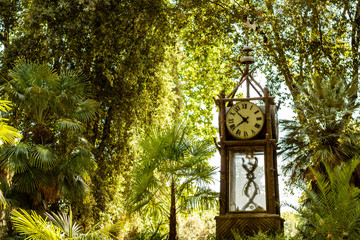 Tower clock in a park