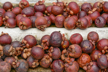 Top view of rotten mangosteen fruit.