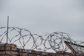 Barbwire on grey clouds background - prison concept