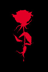 Beautiful rose silhouette. It can be used like tattoo, symbol, icon, mark, logo. Red rose on a black background.