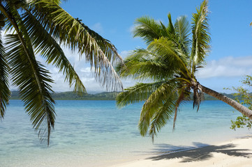 Fototapeta na wymiar Fiji islands