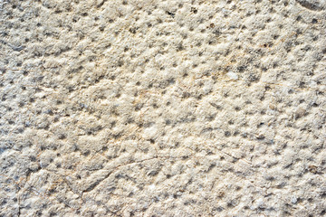 Beige neutral stone wall with lots of holes texture 