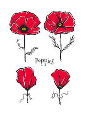 Beautiful red poppies on a white background. Nice nature elements. Charming flowers. Can be used like cards for Remembrance Day.