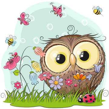 Cute Cartoon Owl on a meadow