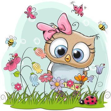Cute Cartoon Owl on a meadow