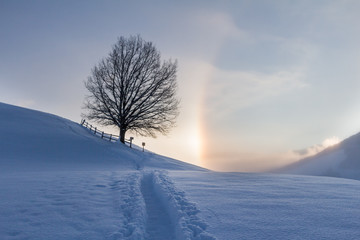 Winterlandschaft: Sonnenaufgang, Baum und Fußspuren
