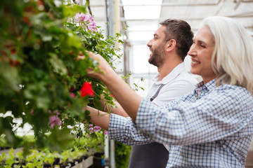 Cheerful workers in garden looking and touching plants