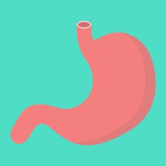 Stomach flat icon, medicine and healthcare, human organ sign vector graphics, a colorful solid pattern on a cyan background, eps 10.