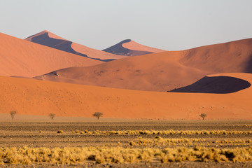 Fototapeta na wymiar Namibia, Namib desert sand dunes at sunrise