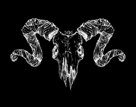 Goat Skull Images – Browse 137 Stock Photos, Vectors, and Video | Adobe  Stock