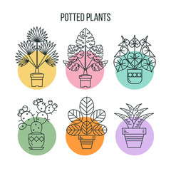 Potted plants. Isolated linear icons in colorful circles on a white background.