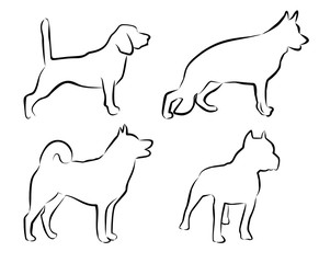 set contour dogs. simple vector illustration. petshop, veterinary, shelter