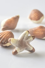 Chocolate candies on the white background