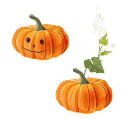 Two orange pumpkins: one with leaf and other with eyes, nose and mouth, on white background, digital draw, decorative illustration for autumn harvest festival or Halloween design, vector