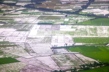 aerial view on green paddy fields and canals in the Mekong delta, Vietnam