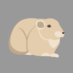 gundi  vector illustration style flat 