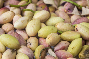 Green fresh pistachio of Bronte