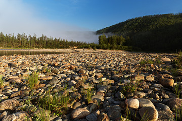 mountains taiga dawn fog