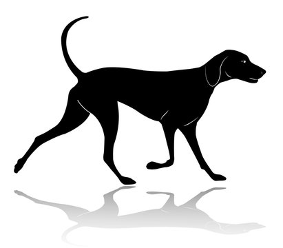 hunting dog walking silhouette - vector