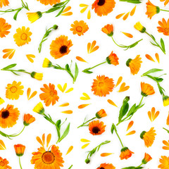 Fototapeta na wymiar Seamless pattern with flowers marigold isolated on white background.
