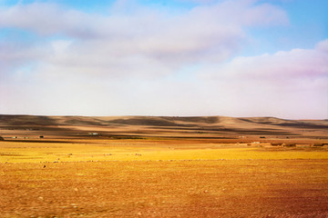 Fototapeta premium Desert landscape. Desert dunes cloudy day.