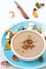 Pilzsuppe mit Pfifferlingen