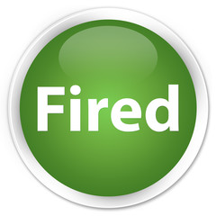 Fired premium soft green round button