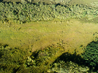 aerial shot of forest landscape