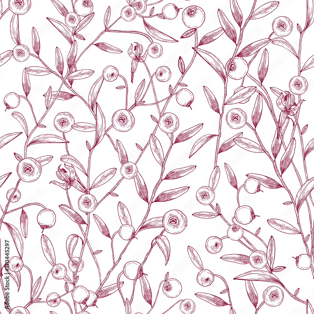 Poster Beautiful seamless pattern with cranberries growing on stems with tiny leaves against white background. Texture with berries drawn in etching style. Vector illustration for wallpaper, textile print
