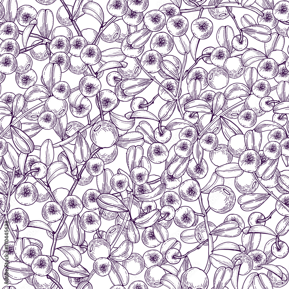 Poster monochrome seamless pattern with arctic lingonberry hand drawn with purple lines on white background