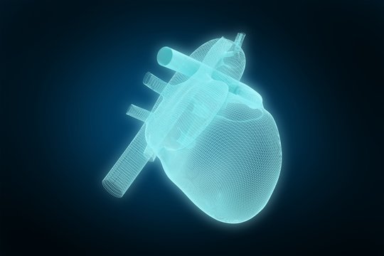 Composite image of 3d illustration of human heart 