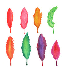 Watercolor feathers collection. Watercolor set isolated on white background.