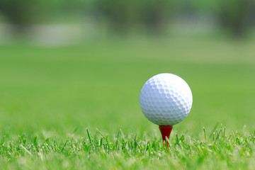 Golf ball on tee in grass