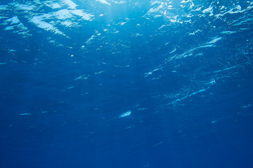 Sunbeams in the blue water