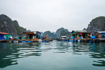 Cat Ba Island, Vietnam.  Fishing Floating Village