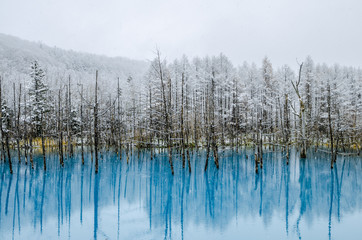 Blue Pond is a man-made water feature in Biei, Hokkaido, Japan. It is one of the world most...