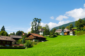 Fototapeta na wymiar Grindelwald landscape, Switzerland