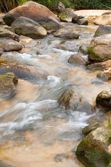 Naklejka na ściany i meble sweet water stream runs around the rocks in the rain forest