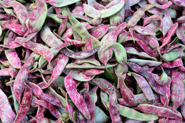fresh beans selling at the agriculture fair