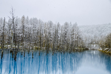 Blue Pond is a man-made water feature in Biei, Hokkaido, Japan. It is one of the world most...