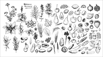 hand drawn vintage set of food: nuts, berry, fruits, herbs