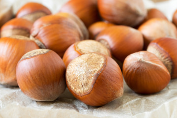 Nuts hazelnuts. Macro