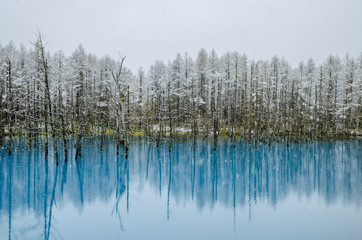 Blue Pond is a man-made water feature in Biei, Hokkaido, Japan. It is one of the world most...