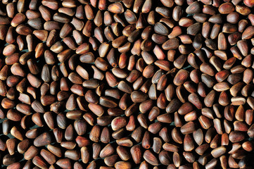 Pine nuts