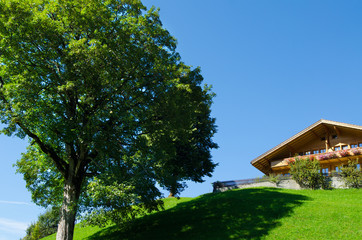 Grindelwald landscape, Switzerland